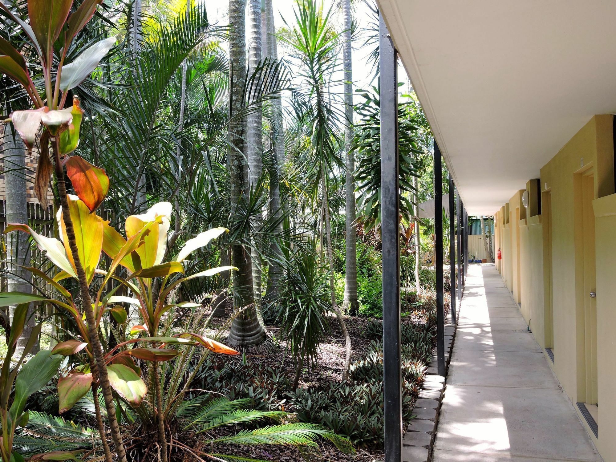 Best Western Airport 85 Motel Brisbane Eksteriør billede